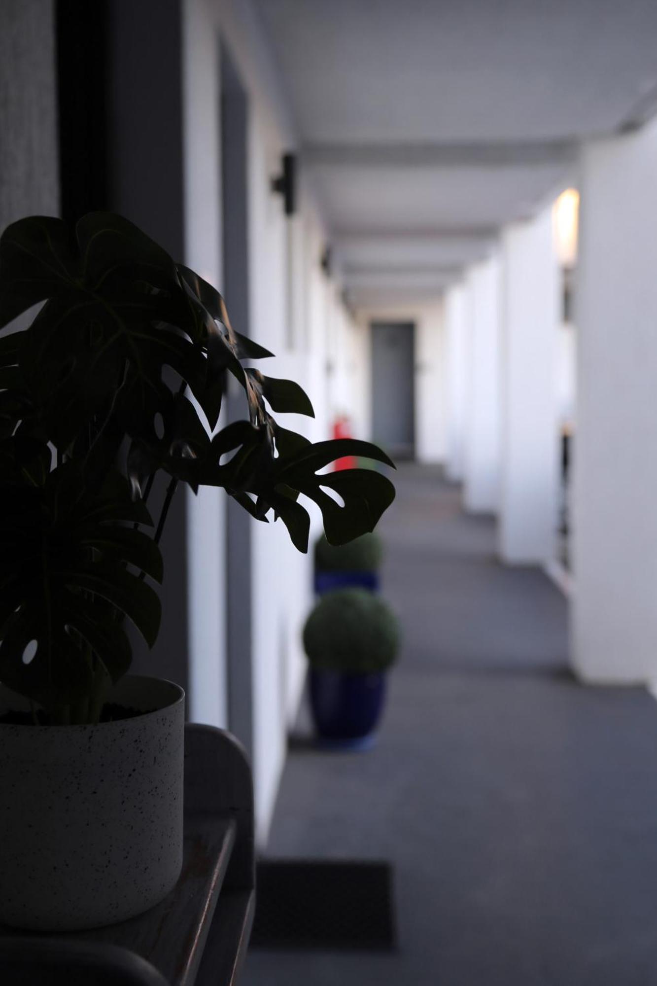 Zorba Waterfront Motel Batemans Bay Exteriér fotografie